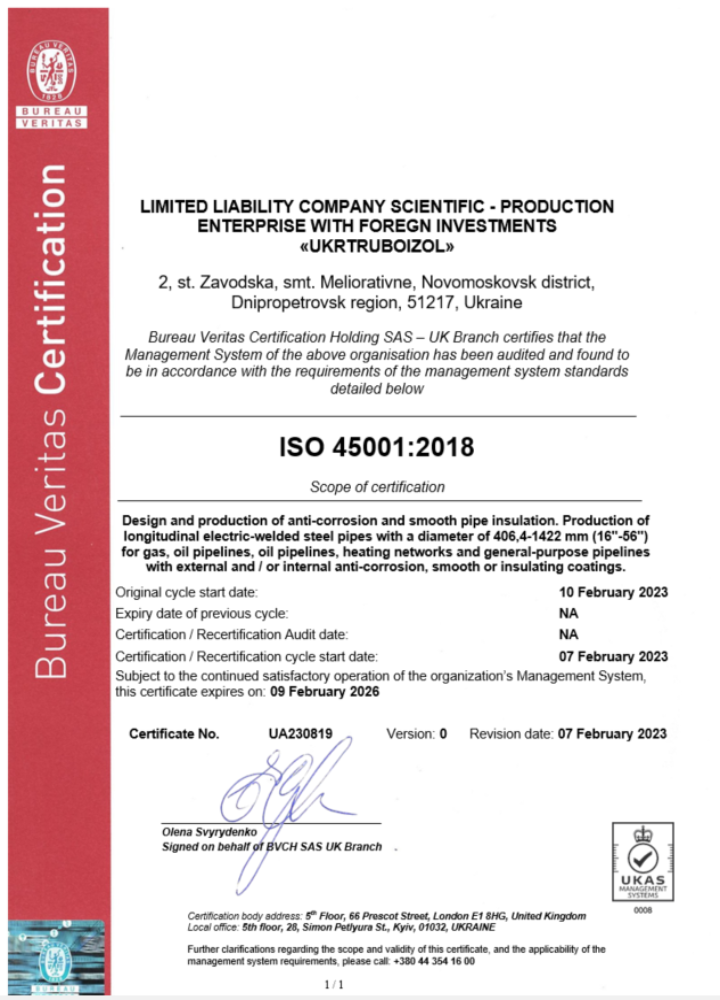 UK Bureau Veritas ceritificate of business registration Word and PDF template